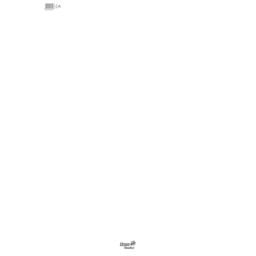 Flipchart-Block - 68 x 99 cm, blanko, 80 g/qm, 20 Blatt