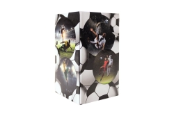 HERMA Stifteköcher Fußball 1Stk