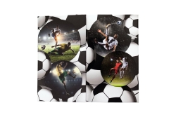 HERMA Stifteköcher Fußball 1Stk