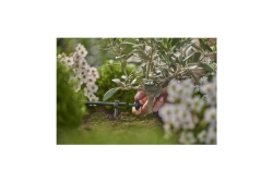 Gardena MDS Endtropfer 2 l/h, druckregulierend - 10 Stk