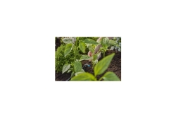 Gardena MDS Reihentropfer 2L/h
