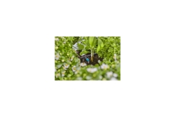 Gardena MDS Reihentropfer 2L/h