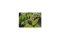 Gardena MDS Reihentropfer 2L/h