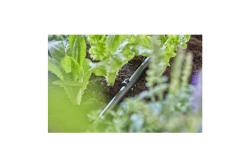 Gardena MDS Rohrhalter, (1/2) - Inhalt: 10 Stück