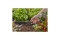 Gardena MDS Verbinder 13 mm (1/2) - Inhalt: 3 Stück