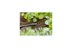 Gardena MDS Verschlussstopfen 3/16 - Inhalt: 10 Stück