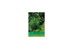 Gardena Raseneinfassung grün Rolle 15 cm hoch 9 m lang