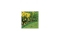 Gardena Raseneinfassung grün Rolle 20 cm hoch 9 m lang