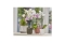 Gardena Pumpsprüher 0,75 L