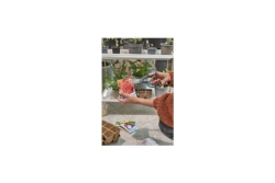 Gardena MultiCut