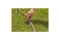 Gardena Kupplung mit Regulierventil Blister