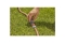 Gardena Kupplung mit Regulierventil lose