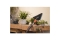 Gardena Cleansystem Stielbürste hard flex