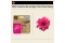 HP 924e Magenta Tintenpatrone EvoMore