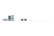 ASUS P13R-E/10G-2T ATX 1x LGA 1700 DDR5 2x10G ASMB11