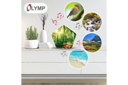 Olympia Sound of Nature Box 1 Stück