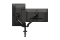 AOC DUAL DESK MOUNT AD110D0 13- 32 2-9KG Vesa black