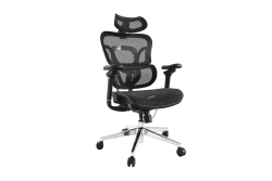 Equip Ergonomischer Bürostuhl+Kopf/Armstützen schwarz lite Retail