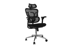 Equip Ergonomischer Bürostuhl+Kopf/Armstützen+SFS schwarz lite Retail