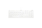 Contour ACTIVE KEY Flat Profile Hygiene Desktop Keyboard Sea