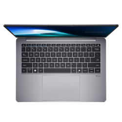 ASUS ExpertBook P5 14 U5-226V 16/512 P5405CSA-NZ0101 ohne OS
