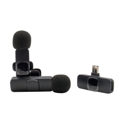 RealPower HS-1,Wireless Microphone,2 Mikrofone,1...