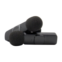 RealPower HS-1,Wireless Microphone,2 Mikrofone,1 Empfänger