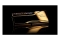 DDR5 32GB PC 6000 CL28 G.Skill KIT (2x16GB) TR5NG NEO RGB/A