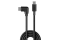 LINDY USB 2.0 Typ C Kabel, 90° gewinkelt 1m