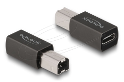 DELOCK USB 2.0 Adapter USB Type-C Buchse zu Typ-B Stecker