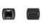 DELOCK USB 2.0 Adapter USB Type-C Buchse zu Typ-B Stecker