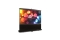 Elite Screens Koffer 16:9 221*124cm ezCinema schwarz