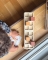 Montessori Balancierspiel