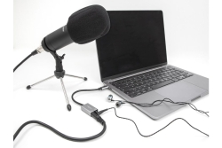 DELOCK Externe USB Type-C Soundkarte mit 2 x 3,5 mm Klink-Bu