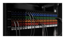INTELLINET Cat6a 10G STP Keystone-Modul rot