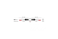 DELOCK Stereo Audio Extender RJ45 Bu zu 2x Cinch St 50m 2 St