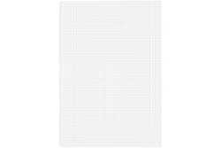 Oxford Schulheft A4 16 Blatt kariert mit Rand L 15Stk