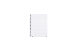 Oxford Collegeblock A4+ 220 x 295 mm 80 Bl. Kariert Rand L