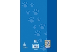 Oxford Schulheft A4 16 Blatt Lineatur 2 15Stk
