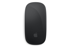 Apple Magic Mouse - Black Multi-Touch Surface