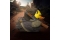 TUBBZ Sammelente - The Last Of Us Bill 9cm