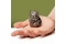 TUBBZ Sammelente - MINI Herr der Ringe Sauron 5cm