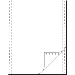 DIN-Computerpapier, 2fach, 12x240 mm (A4 hoch), SD,...