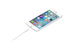 Apple USB-Kabel auf Lightning (1m)