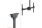 Neomounts DEH 37-70 1TFT 1Gelenk H:250-300cm Max.50KG sw