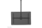 Neomounts DEH 37-70 1TFT 1Gelenk H:250-300cm Max.50KG sw