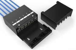DIGITUS Konsolidierungspunkt-Box 6Ports Keystone Module