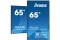 IIYAMA 164.0cm(65) LH6541UHS-B1AG 16:9 3xHDMI+USB IPS (Speditionsversand)
