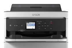 Patrone Epson DURABrite Pro magenta XL T01C3