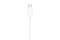 Apple EarPods mit USB-C Connector